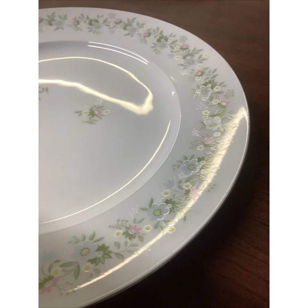 Johann Haviland Dinner Plate Bavaria Germany Forever Spring China 10